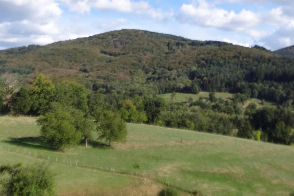 Gite L'Epicurien Sainte-Agathe Extérieur photo
